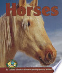 Horses cover