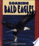 Soaring Bald Eagles cover
