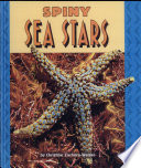 Spiny Sea Stars cover