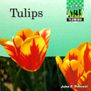 Tulips cover