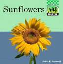 Sunflowers cover