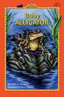 Baby Alligator cover