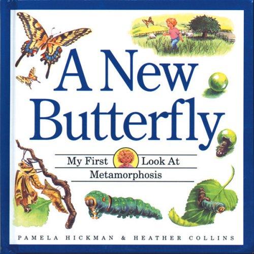 A New Butterfly: My First Look at Metamorphosis cover