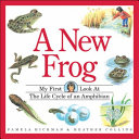 A New Frog: My First Look at the Life Cycle of an Amphibian cover