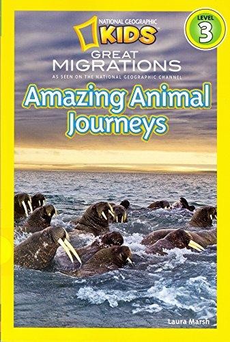 Amazing Journeys cover