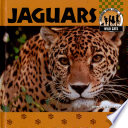 Jaguars cover