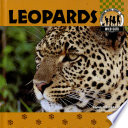 Leopards cover