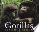 Gorillas cover