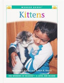 Kittens cover