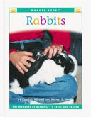 Rabbits cover