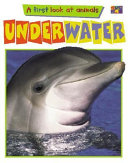 Underwater cover