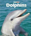 Dolphins cover