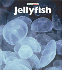 Jellyfish cover