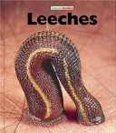 Leeches cover