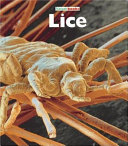Lice cover