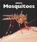 Mosquitoes cover