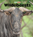 Wildebeests cover