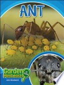 Ants cover