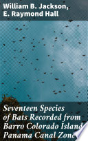 Bats cover