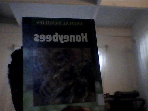 Honeybees cover