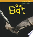 Gray Bat cover