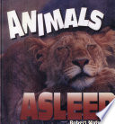 Animals Asleep cover
