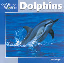 Dolphins cover