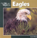 Eagles cover