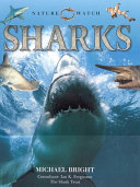 Sharks cover