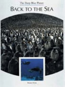 Back to the Sea cover
