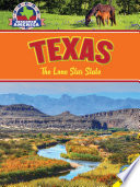 Texas (2001) cover