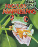 Amphibians cover