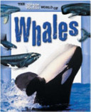 Whales cover