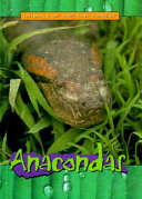 Anacondas cover