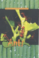 Ants cover