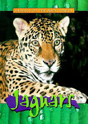 Jaguars cover
