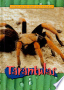 Tarantulas cover