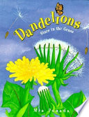 Dandelions: Stars in the Grass cover