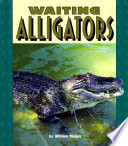 Waiting Alligators cover
