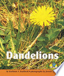 Dandelions cover