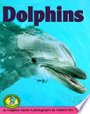 Dolphins cover
