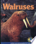 Walruses cover
