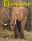 The Elephant and the Scrub Forest cover