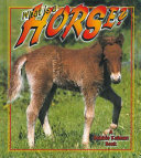 What Is a Horse? cover