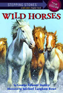 Wild Horses cover