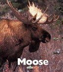 Moose cover