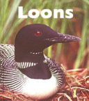 Loons cover