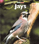 Jays cover