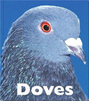 Doves cover