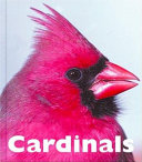 Cardinals cover